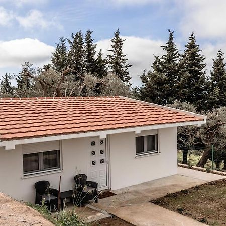 Olive Grove Apartment Bar Bagian luar foto
